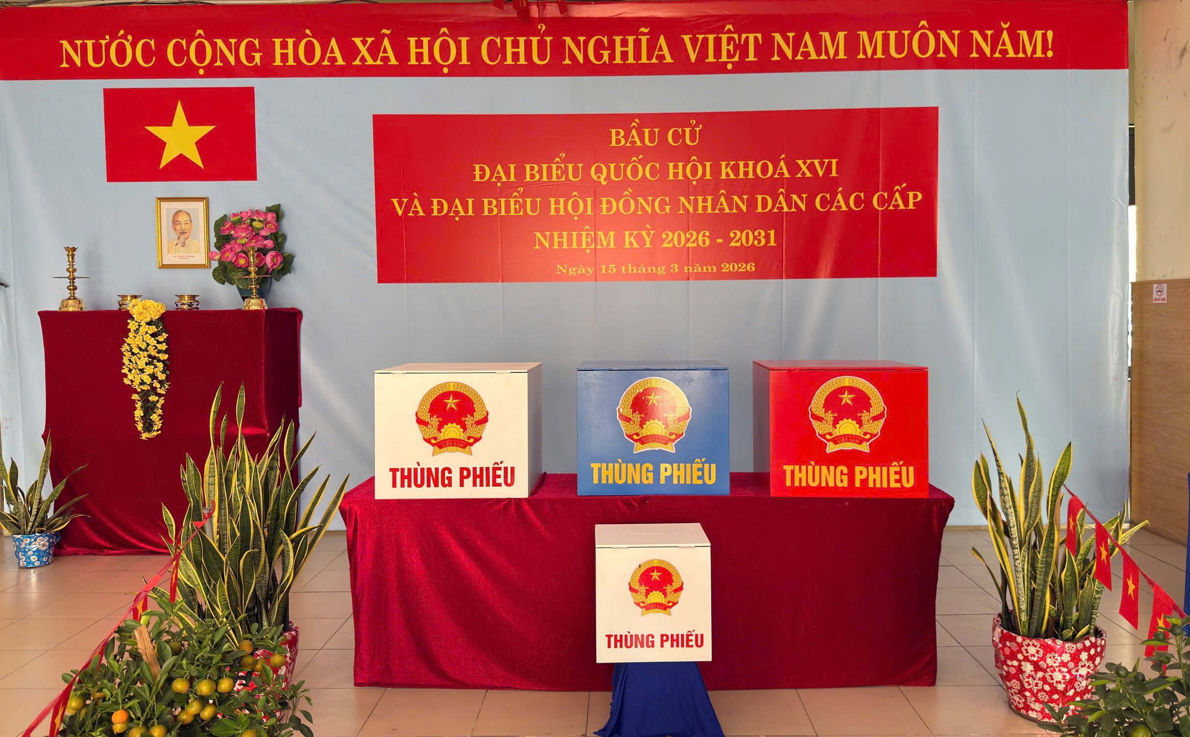 TPHCM kiện toàn nhân sự 13 ban bầu cử đại biểu Quốc hội - Ảnh 1.