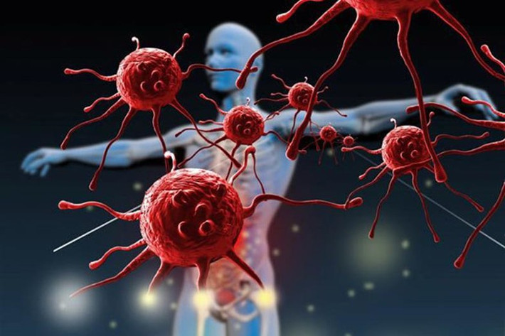 Tại sao thuốc điều trị ung thư tác dụng không đều với các bệnh nhân? 1 Tại sao thuốc điều trị ung thư tác dụng không đều với các bệnh nhân? - Ảnh 2.