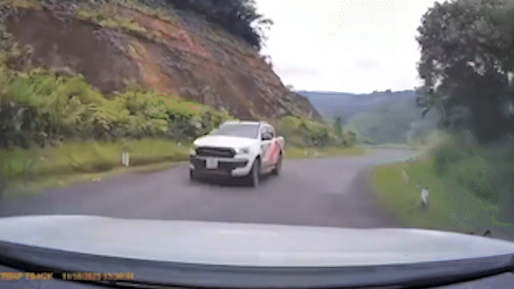 tài xế - Ảnh 1.