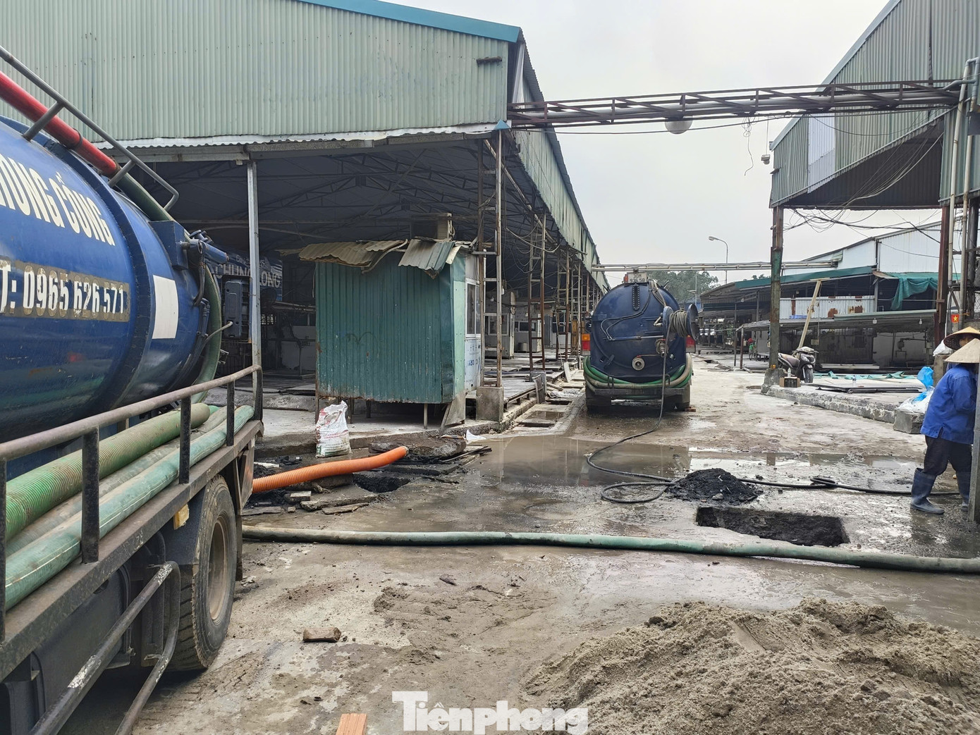 Tận thấy lò mổ gần 300 tấn lợn bệnh ở Hà Nội- Ảnh 2.