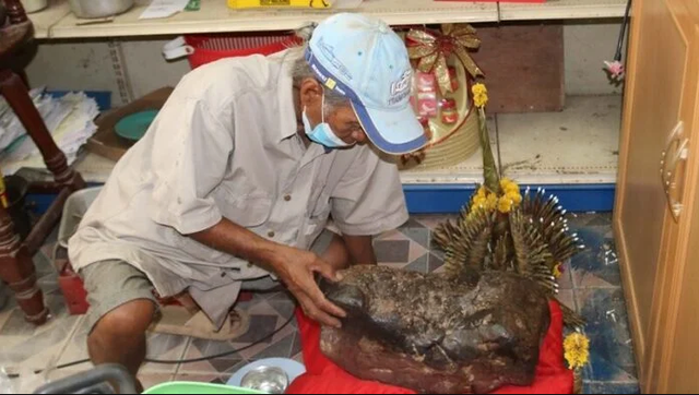 Tảng đá hình con ếch trong cửa hàng bỗng xuất hiện vệt vàng lạ sau Tết, người dân kéo đến xem kín nhà- Ảnh 2.