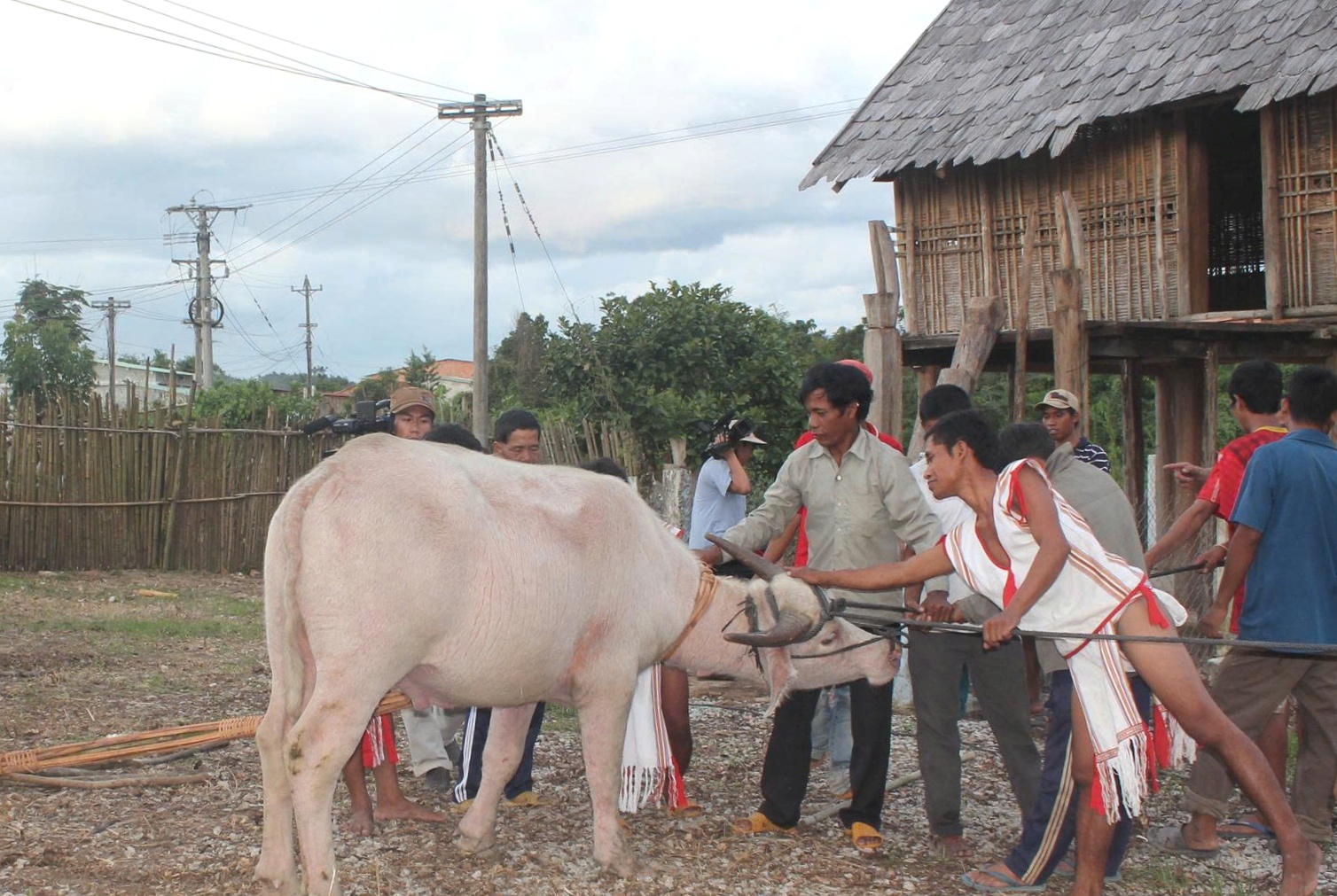 Vật thiêng của làng: Thần ngà voi của người Rơ Mâm- Ảnh 1.