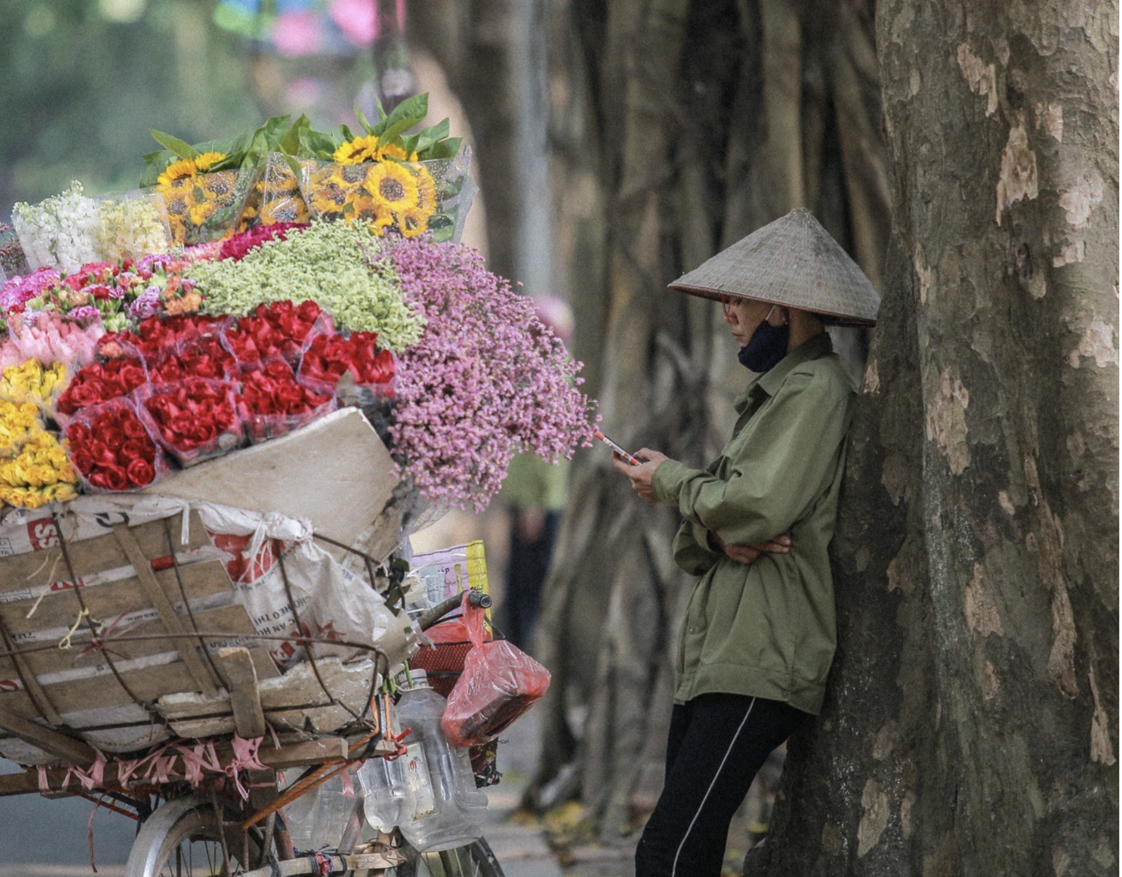 Thời tiết 8/3 sẽ thế nào?- Ảnh 1.