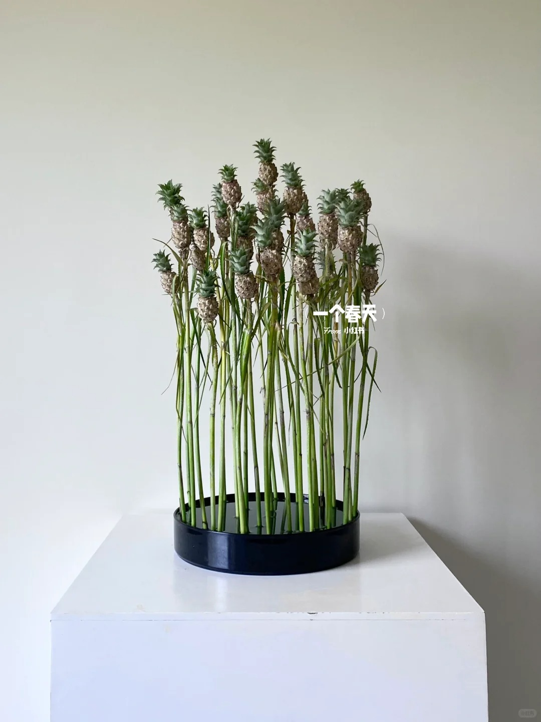 Thom nuc khong gian chung tan 4 thang khong hong