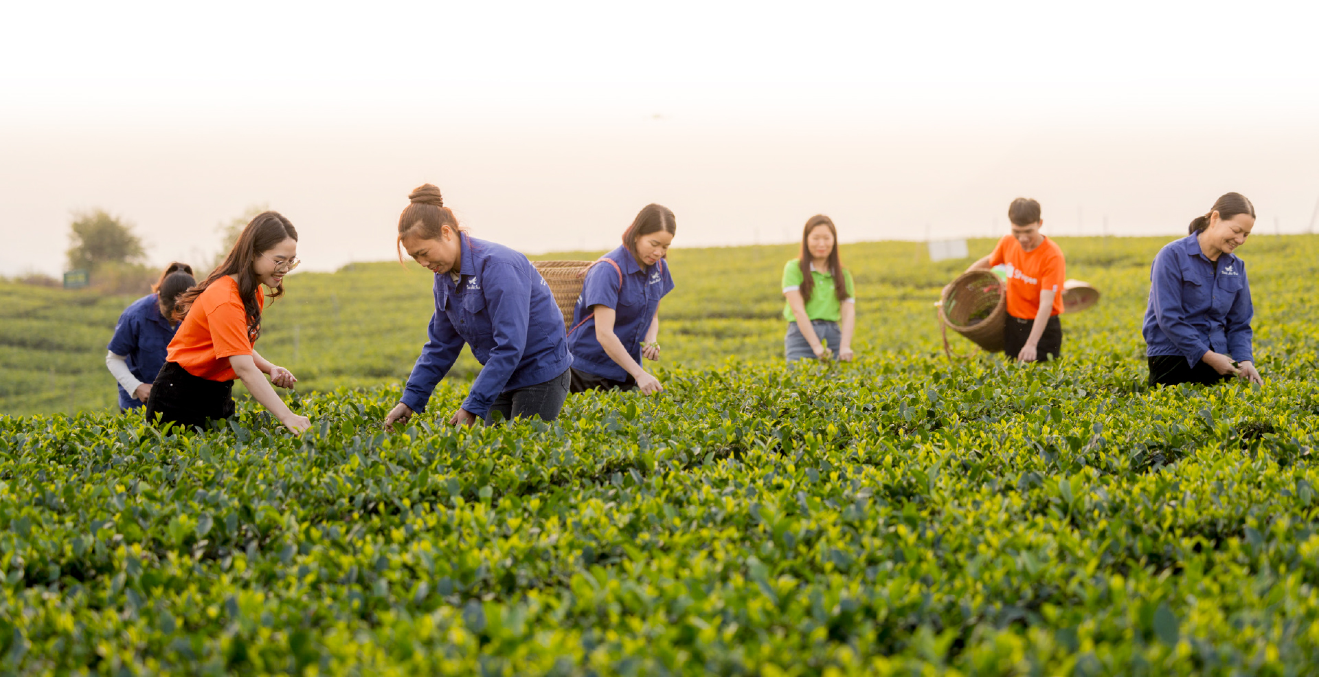 Thương mại điện tử: Khi “lên sàn” chưa đủ - Hành trình từ người bán đến doanh nghiệp số - Ảnh 1.
