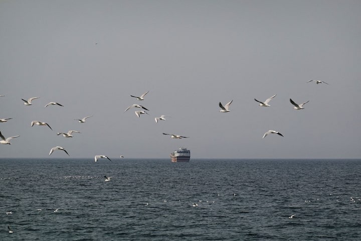 Tin tức thế giới 3-3: Bà Melania Trump chủ trì họp Hội đồng Bảo an; Mỹ ghi nhận thêm thương vong - Ảnh 4. Tin tức thế giới 3-3: Bà Melania Trump chủ trì họp Hội đồng Bảo an; Giá dầu tăng cao - Ảnh 4.