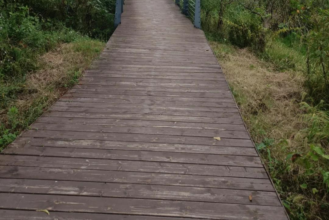 Bước vào tuổi 40: Tôi 