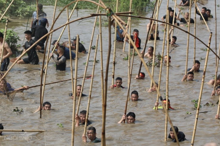 Trai tráng xứ Đoài xuống sông dập sào bắt cá 4 Trai tráng xứ Đoài xuống sông 'dập sào bắt cá' - 3