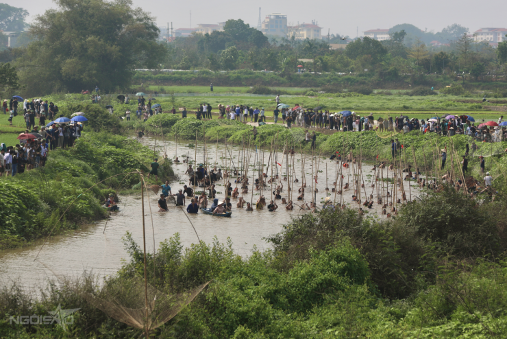 Trai tráng xứ Đoài xuống sông dập sào bắt cá 1 Trai tráng xứ Đoài xuống sông 'dập sào bắt cá' - 1