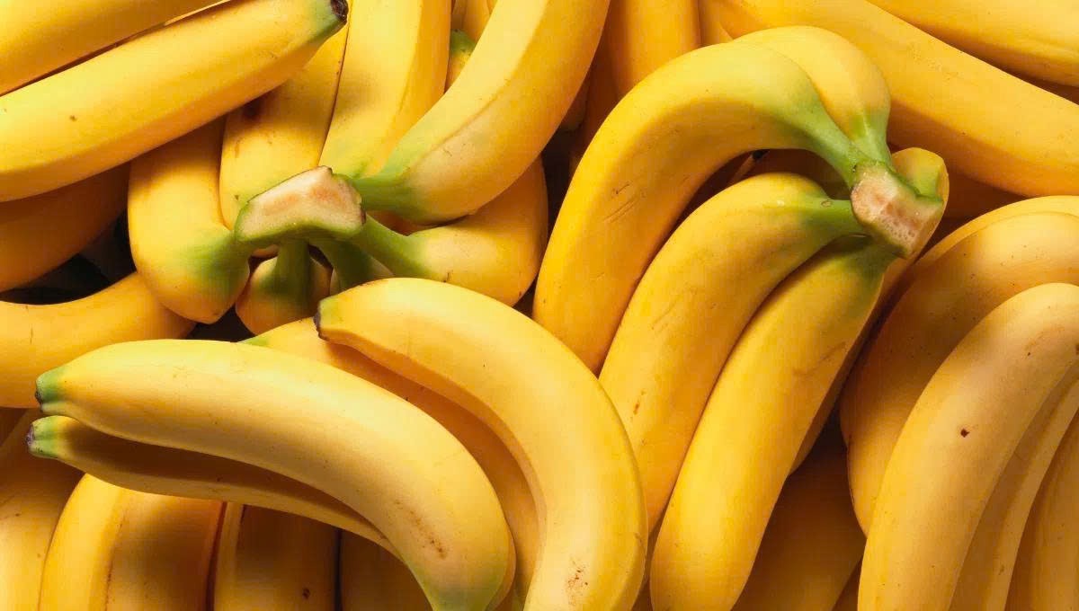 Trong bat ngan o Dong Nai mua nao cung san