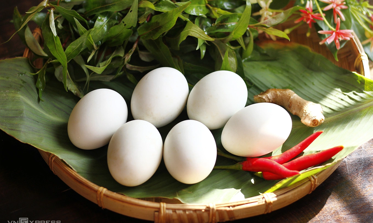 Trứng gà hay trứng vịt bổ dưỡng hơn? 1 Trung ga hay trung vit bo duong hon