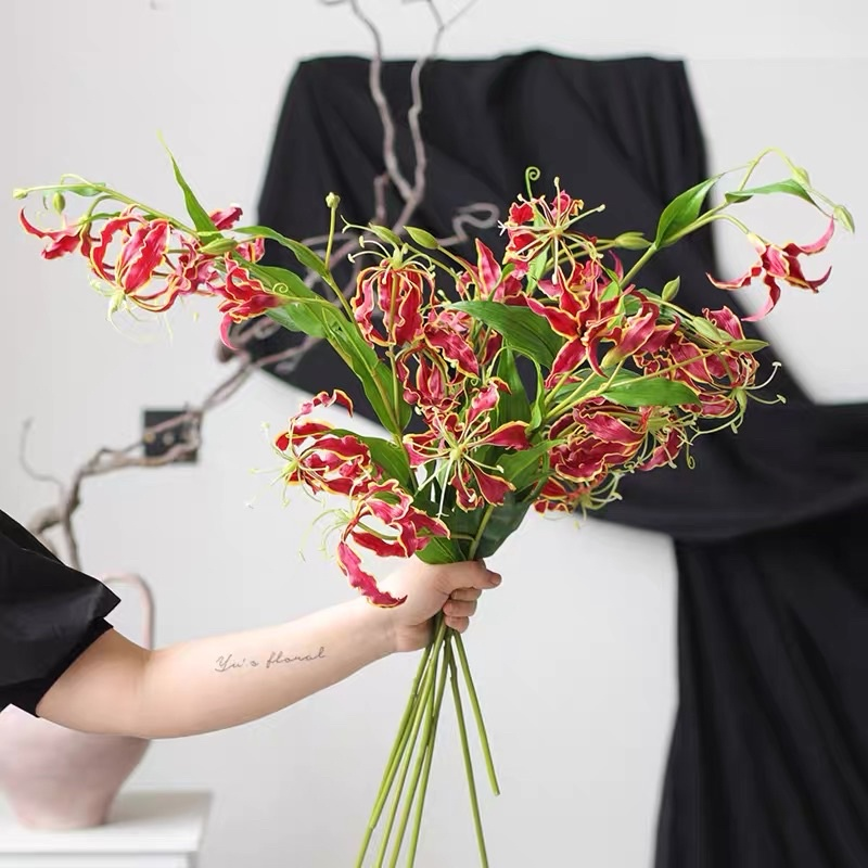 Ông bà dặn: Tuy rất đẹp nhưng đừng dại mà trồng 3 loài cây này trong nhà, vừa xui rủi, vừa ảnh hưởng sức khỏe- Ảnh 1.