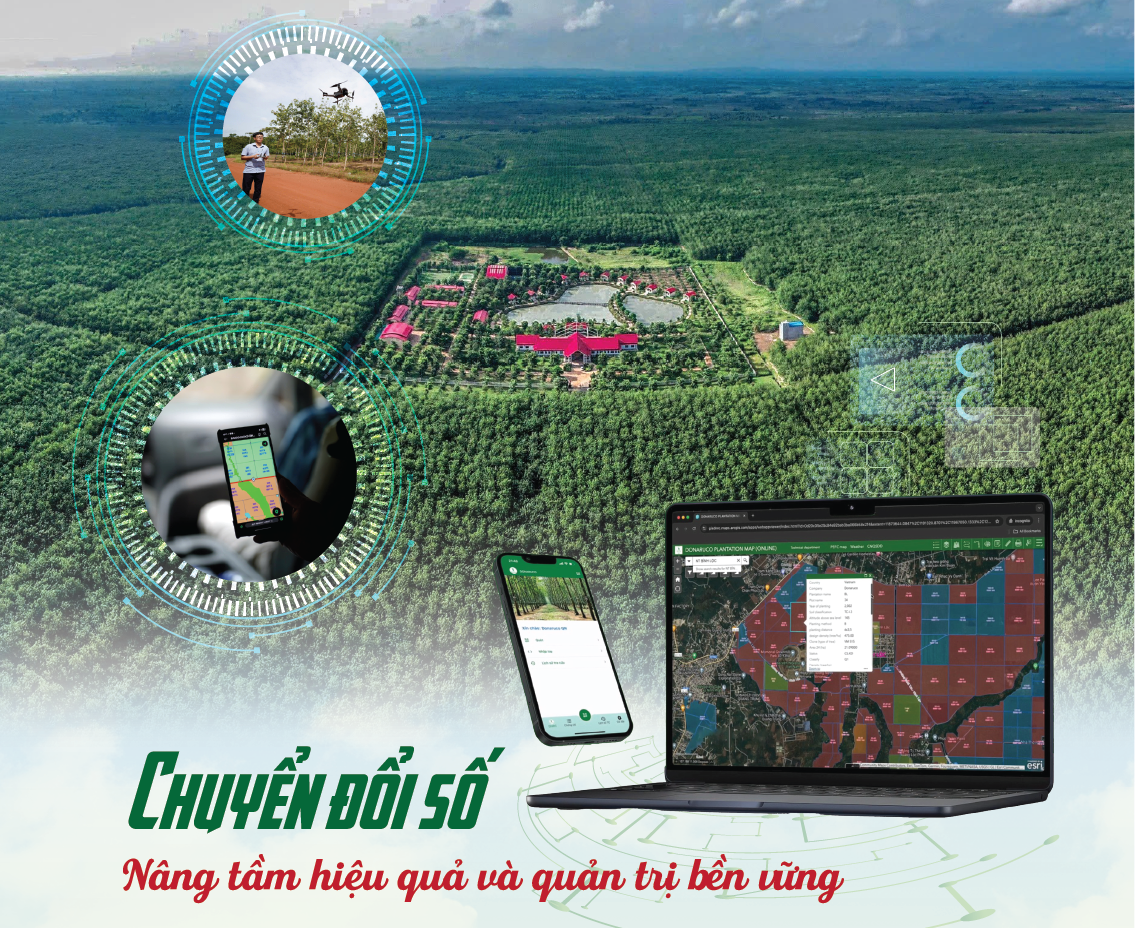 VRG đẩy mạnh chuyển đổi số, hướng tới ngành cao su hiện đại - Ảnh 2.