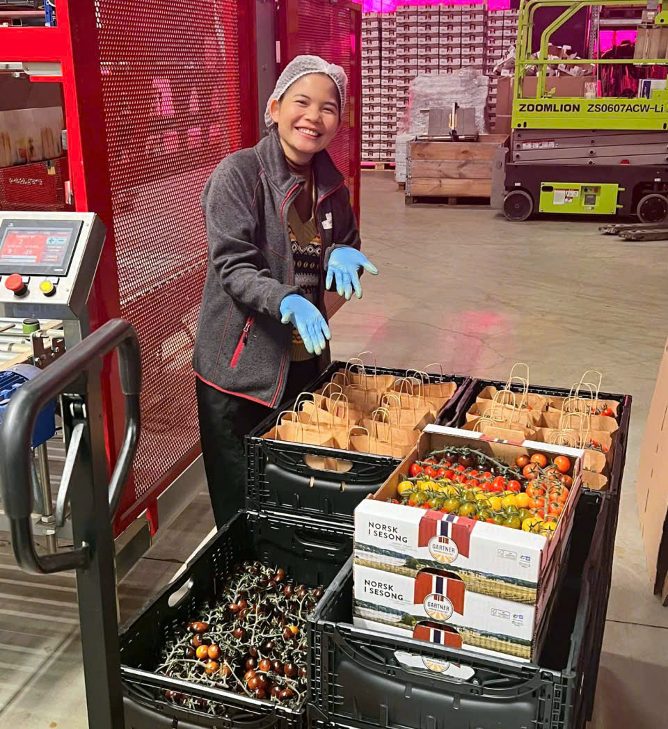 Vất vả làm việc thời vụ ở nước ngoài - Ảnh 1.