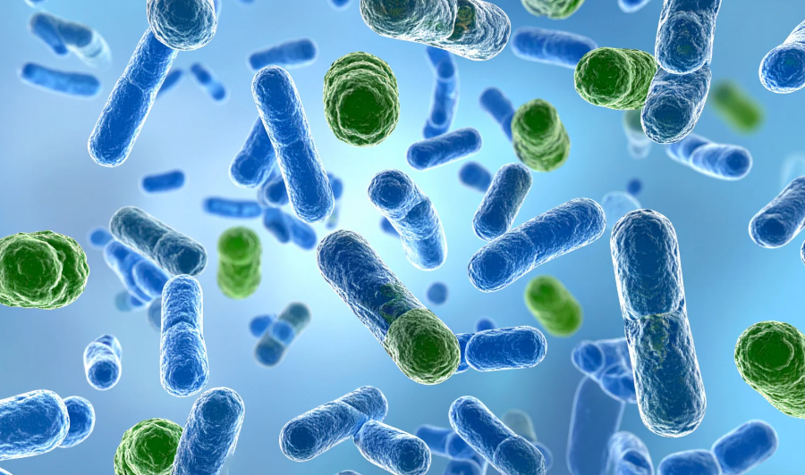 Vì sao có người 100 tuổi vẫn minh mẫn, có người 50 đã lẩn thẩn? - Ảnh 1.