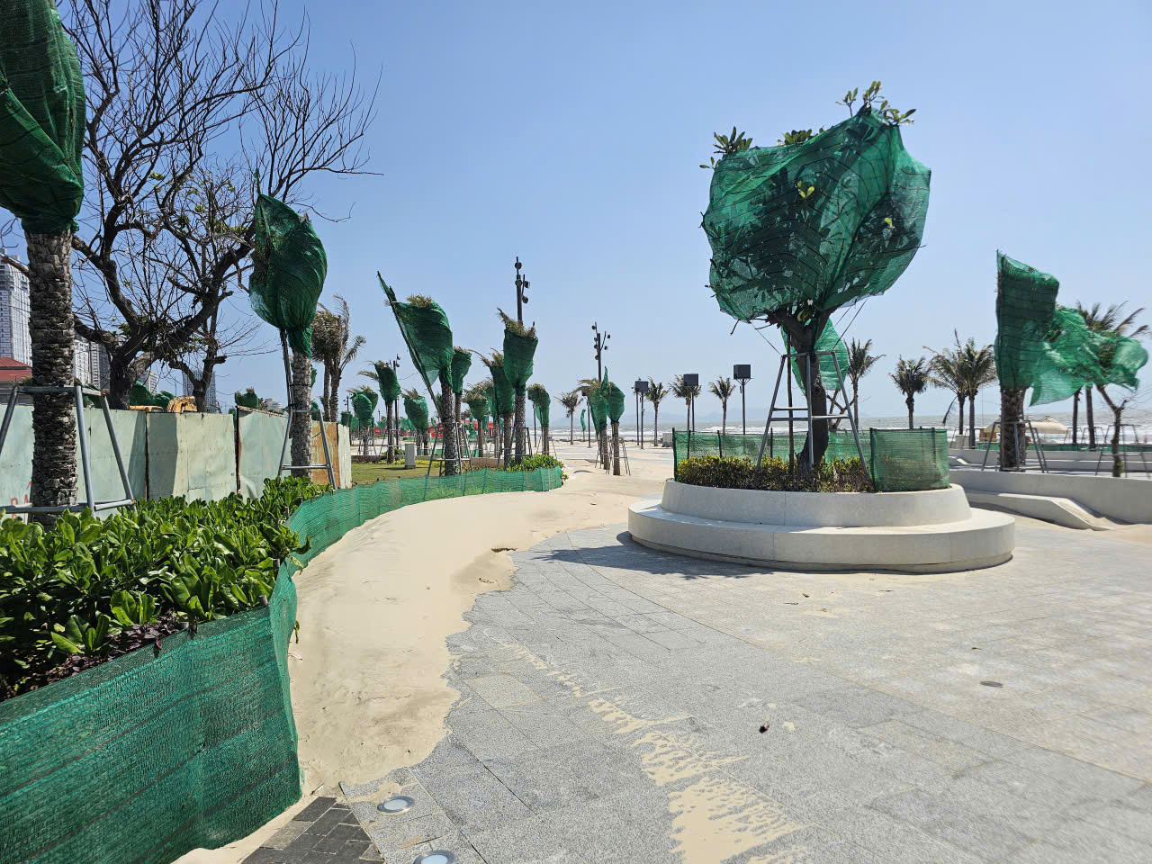 Vì sao dự án ngàn tỉ ở Bãi Sau của Vũng Tàu bị cát biển phủ kín?- Ảnh 1.