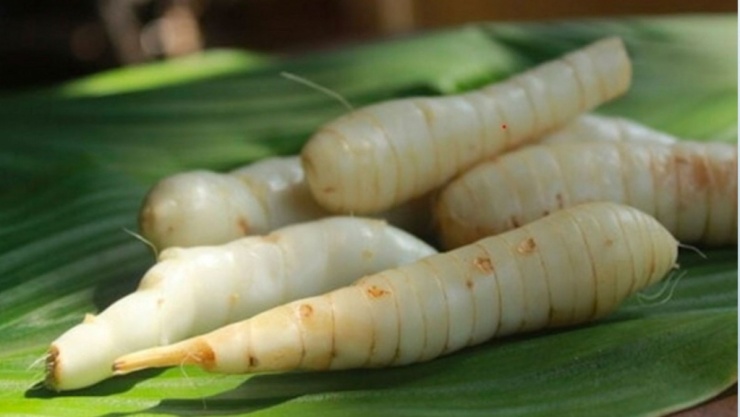 (Ảnh minh họa: Tuổi trẻ)