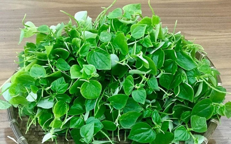 Việt Nam có vị “thuốc bổ tự nhiên” giòn dai mọng nước, ăn vào tốt ngang nhân sâm 1 Rau càng cua không chỉ là loại rau dại quen thuộc trong các món gỏi mà còn được mệnh danh là