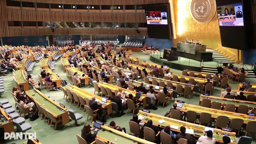 Việt Nam khẳng định nỗ lực thúc đẩy quyền tiếp cận công lý của phụ nữ - 2