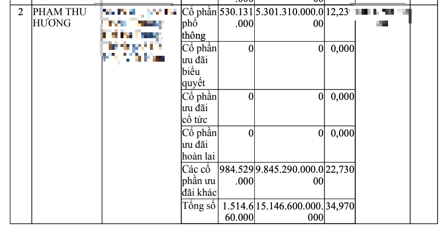 phạm nhật vượng - Ảnh 2.