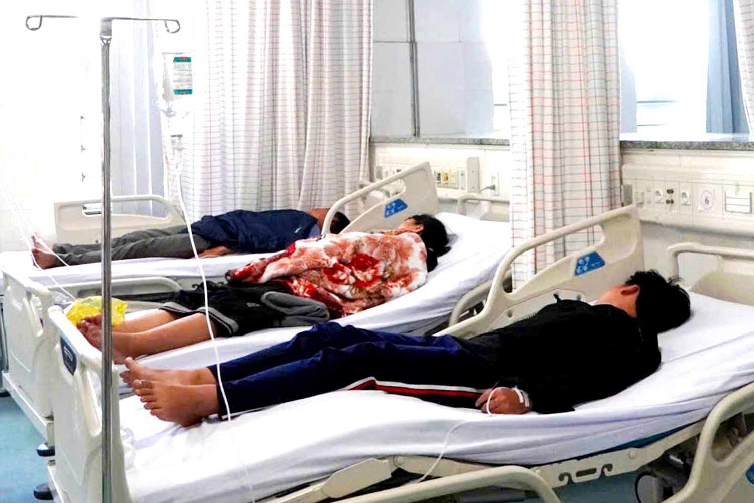 bánh mì - Ảnh 1.