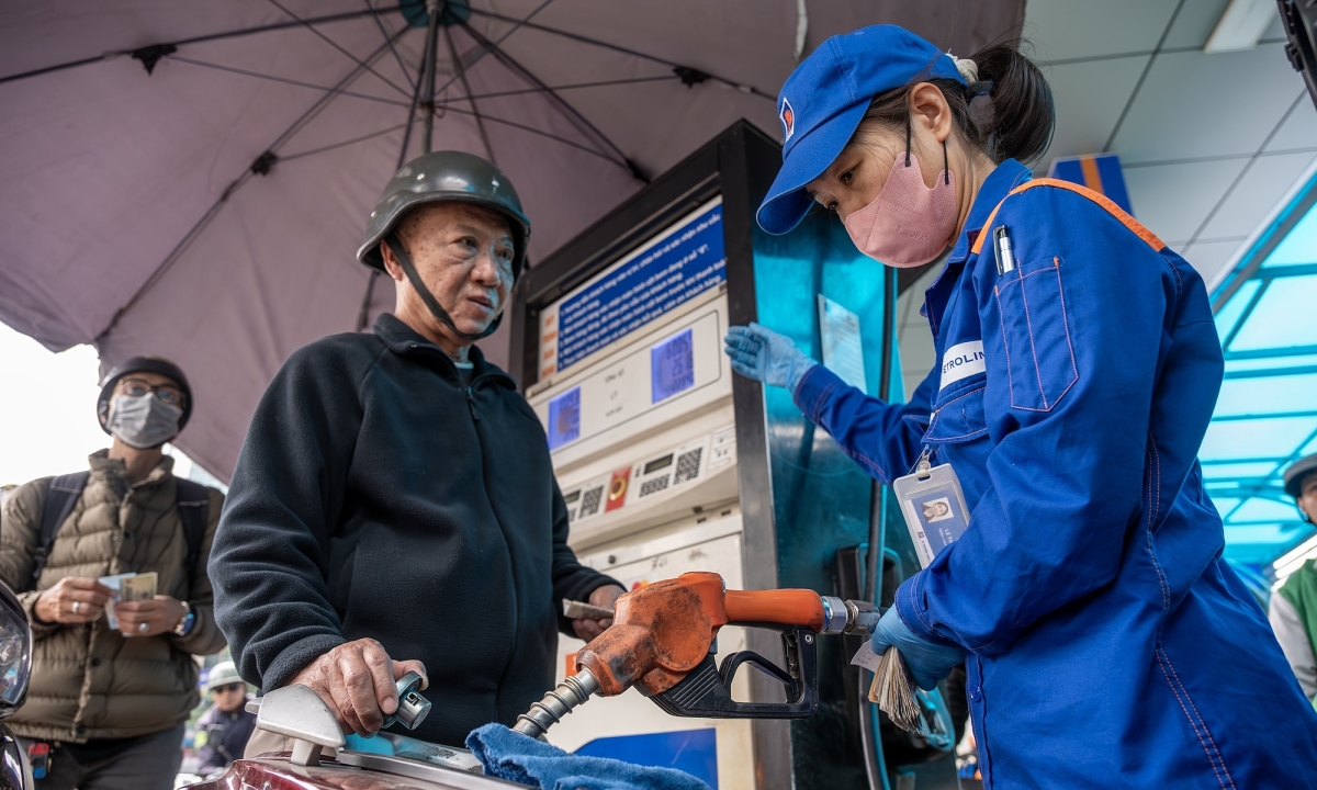 dsc3100copy 1773123230 1773123 4362 6076 1773123257