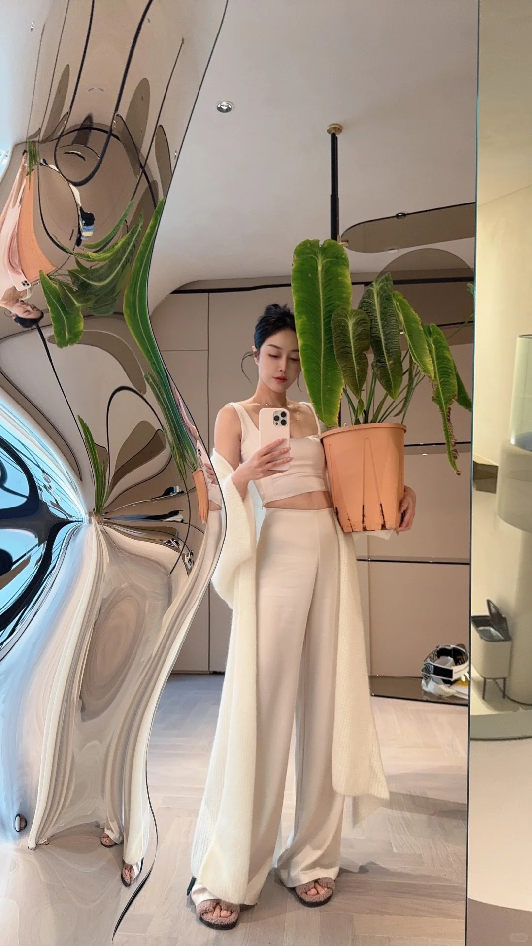 Không phải trầu bà hay kim tiền, đây mới là 