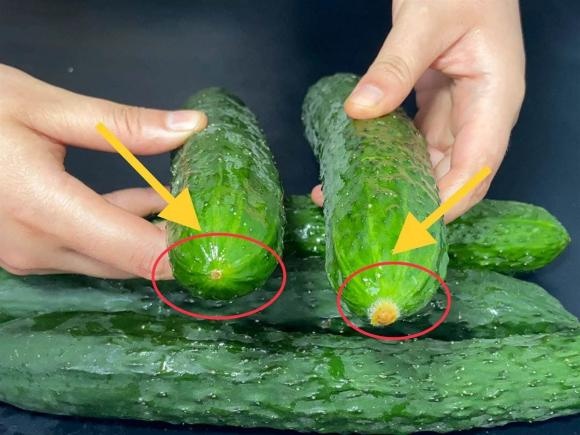 Loại quả vua Càn Long ban thưởng cho phi tần khiến hậu cung ghen đỏ mắt: Xưa hiếm như lông phượng, giờ đổ đống bán vỉa hè- Ảnh 4.