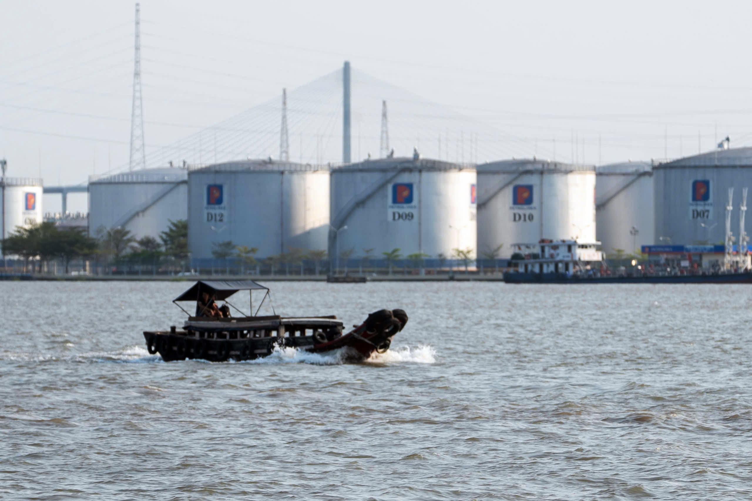 xăng sinh học - Ảnh 3.