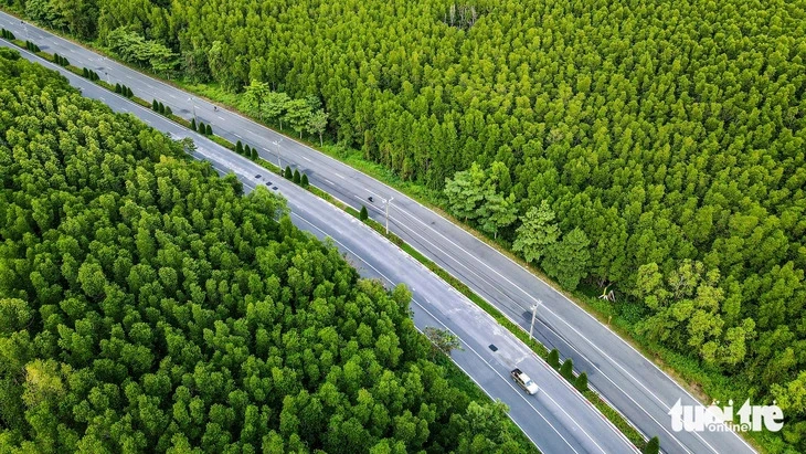 Đóng cổng đăng ký sớm Giải VnExpress Marathon Green Paradise Cần Giờ - Ảnh 3.