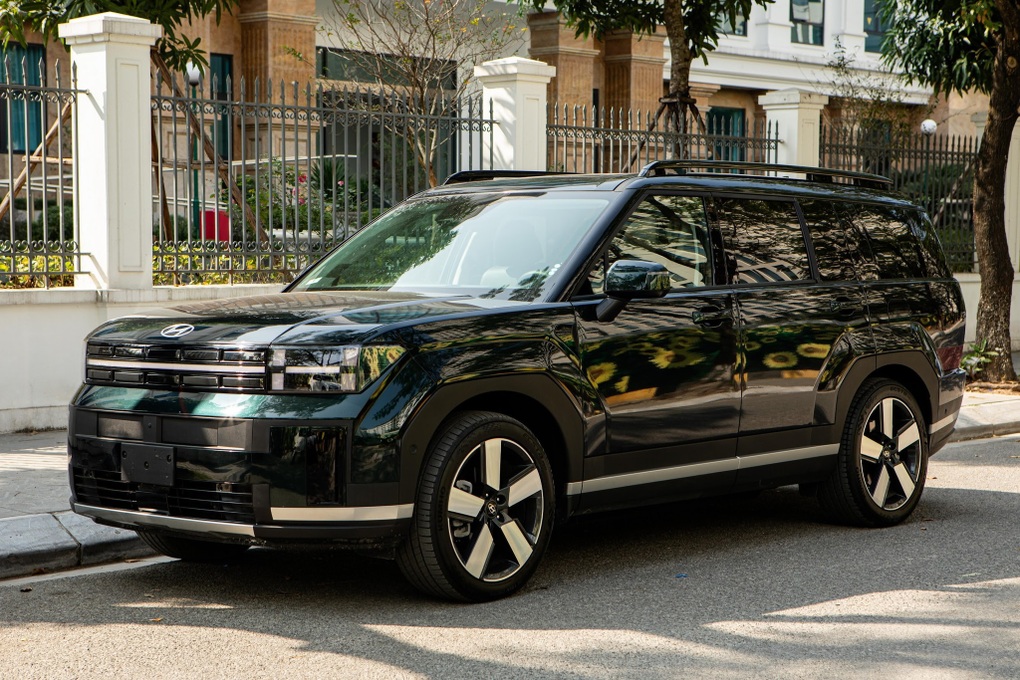 Hyundai Santa Fe máy dầu đi 2 năm vẫn bán đắt hơn xe mới - 4