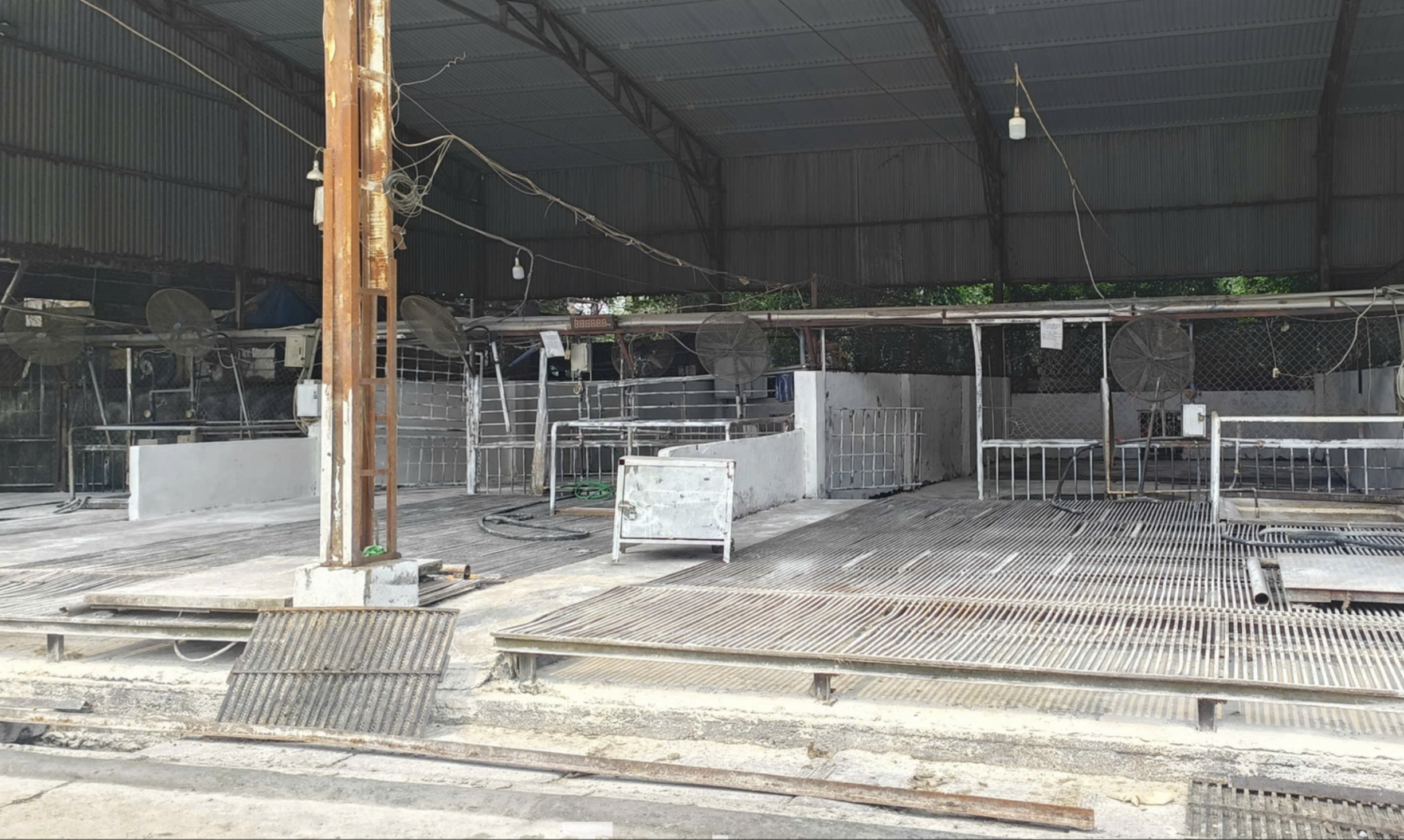 Cán bộ kiểm dịch thú y 