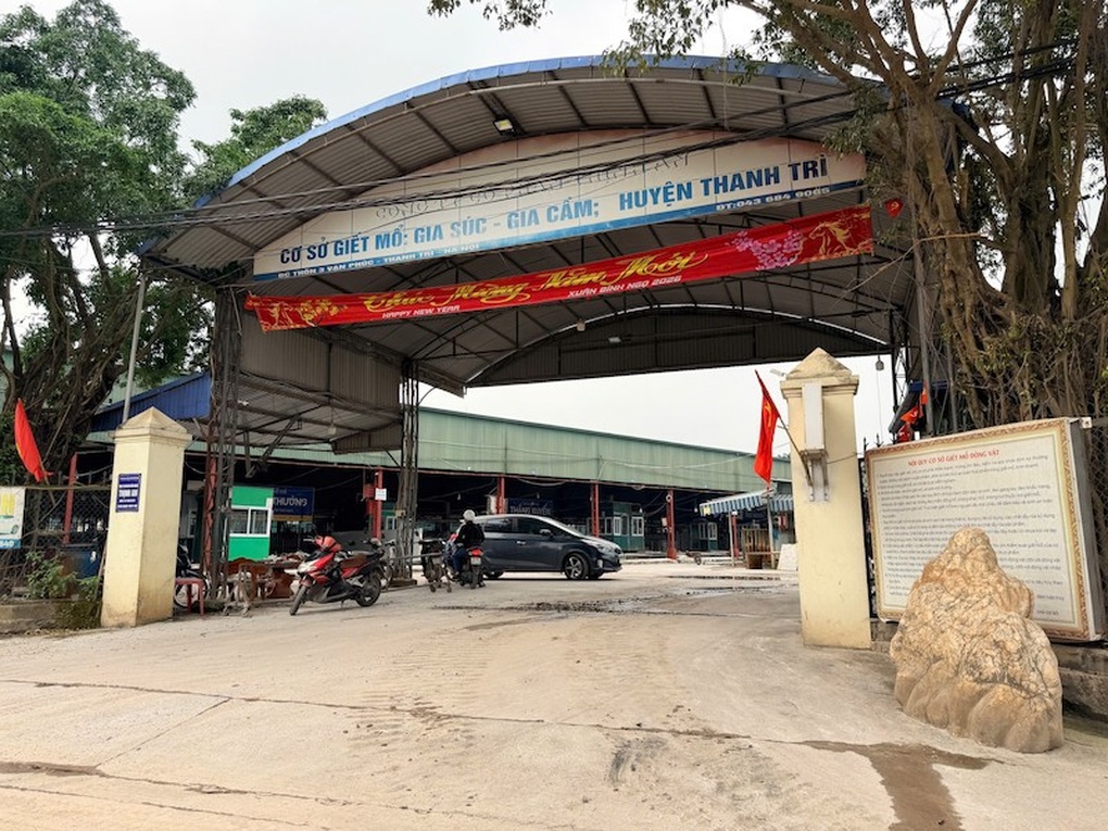 300 tấn lợn bệnh ở Hà Nội lọt qua cửa kiểm dịch như thế nào? - 3