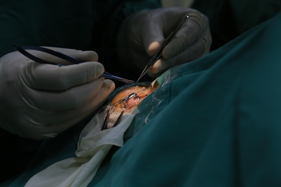 Thấy con sau 27 năm mờ nhòe, người mẹ bật khóc khi “được sinh ra lần nữa” - 3