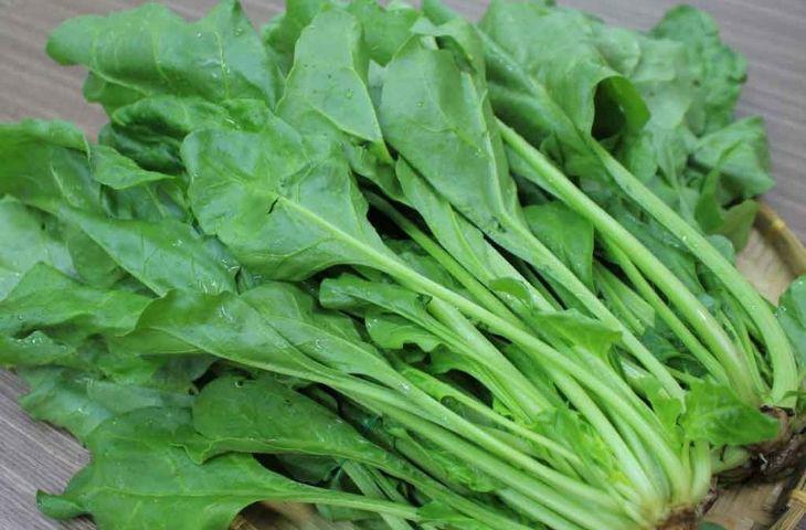 4 loại rau ở Việt Nam là 'kho sắt xanh', bổ máu hơn cả thịt bò: Top 1 tốt cho cả tim và dạ dày, nhiều người chê không ăn - 3