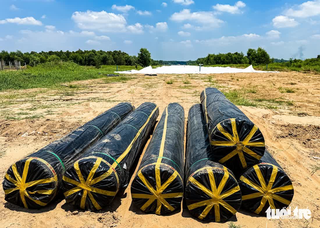 vành đai 3 - Ảnh 2.