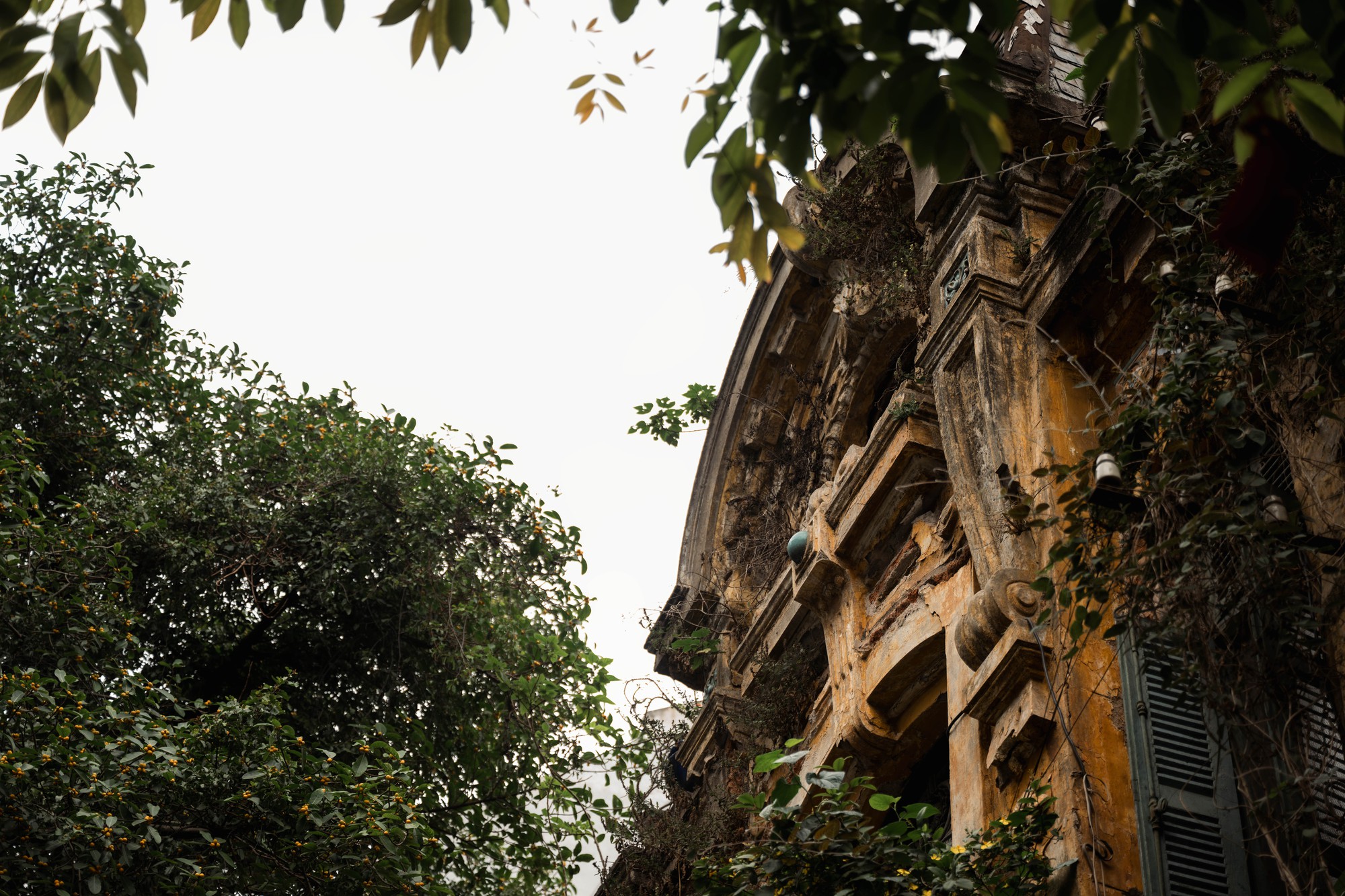 Chuyện chưa kể về căn biệt thự 57B Hàng Bồ giữa lòng Hà Nội: Cuộc sống hiện tại khiến nhiều người ngỡ ngàng- Ảnh 14.