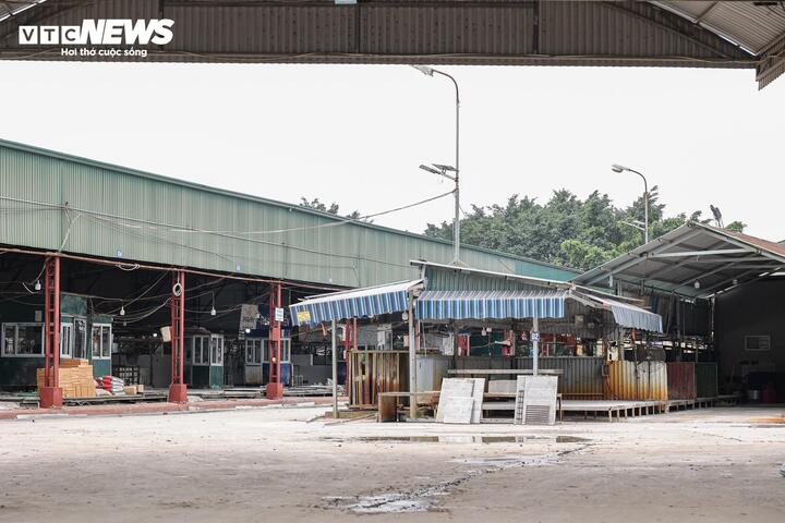 Cận cảnh lò mổ tuồn gần 300 tấn lợn bệnh vào trường học, chợ đầu mối ở Hà Nội- Ảnh 3.