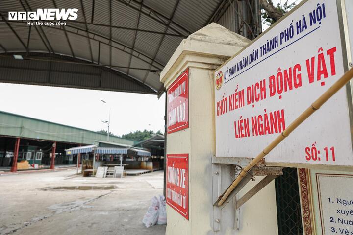 Cận cảnh lò mổ tuồn gần 300 tấn lợn bệnh vào trường học, chợ đầu mối ở Hà Nội- Ảnh 7.