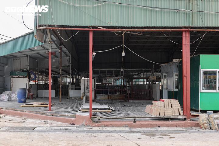 Cận cảnh lò mổ tuồn gần 300 tấn lợn bệnh vào trường học, chợ đầu mối ở Hà Nội- Ảnh 9.