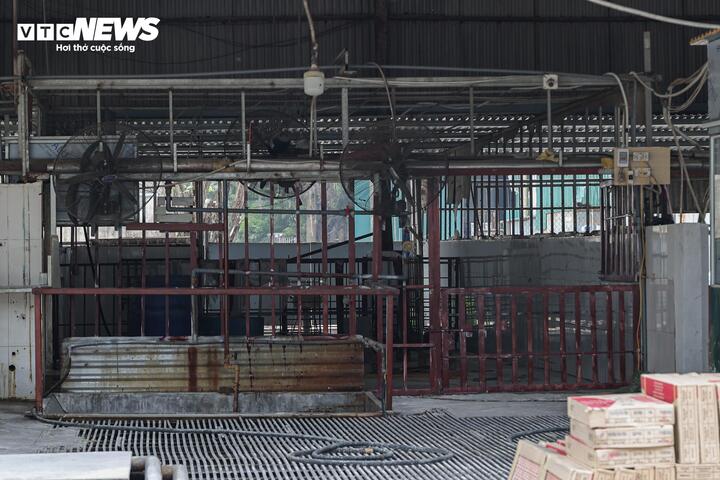 Cận cảnh lò mổ tuồn gần 300 tấn lợn bệnh vào trường học, chợ đầu mối ở Hà Nội- Ảnh 10.