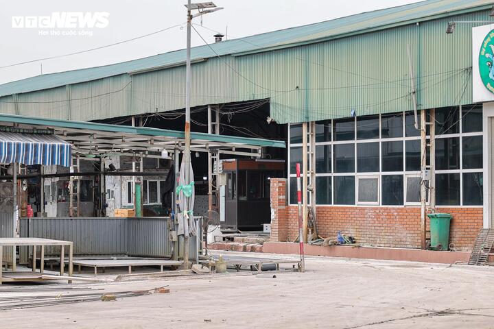 Cận cảnh lò mổ tuồn gần 300 tấn lợn bệnh vào trường học, chợ đầu mối ở Hà Nội- Ảnh 12.