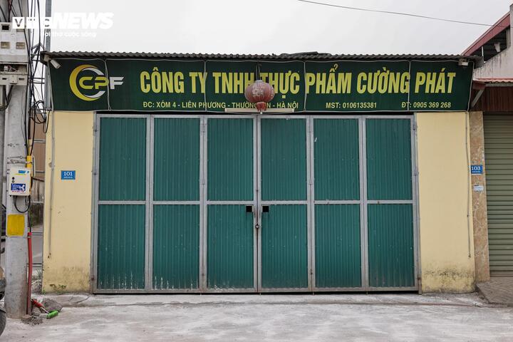 Cận cảnh lò mổ tuồn gần 300 tấn lợn bệnh vào trường học, chợ đầu mối ở Hà Nội- Ảnh 13.