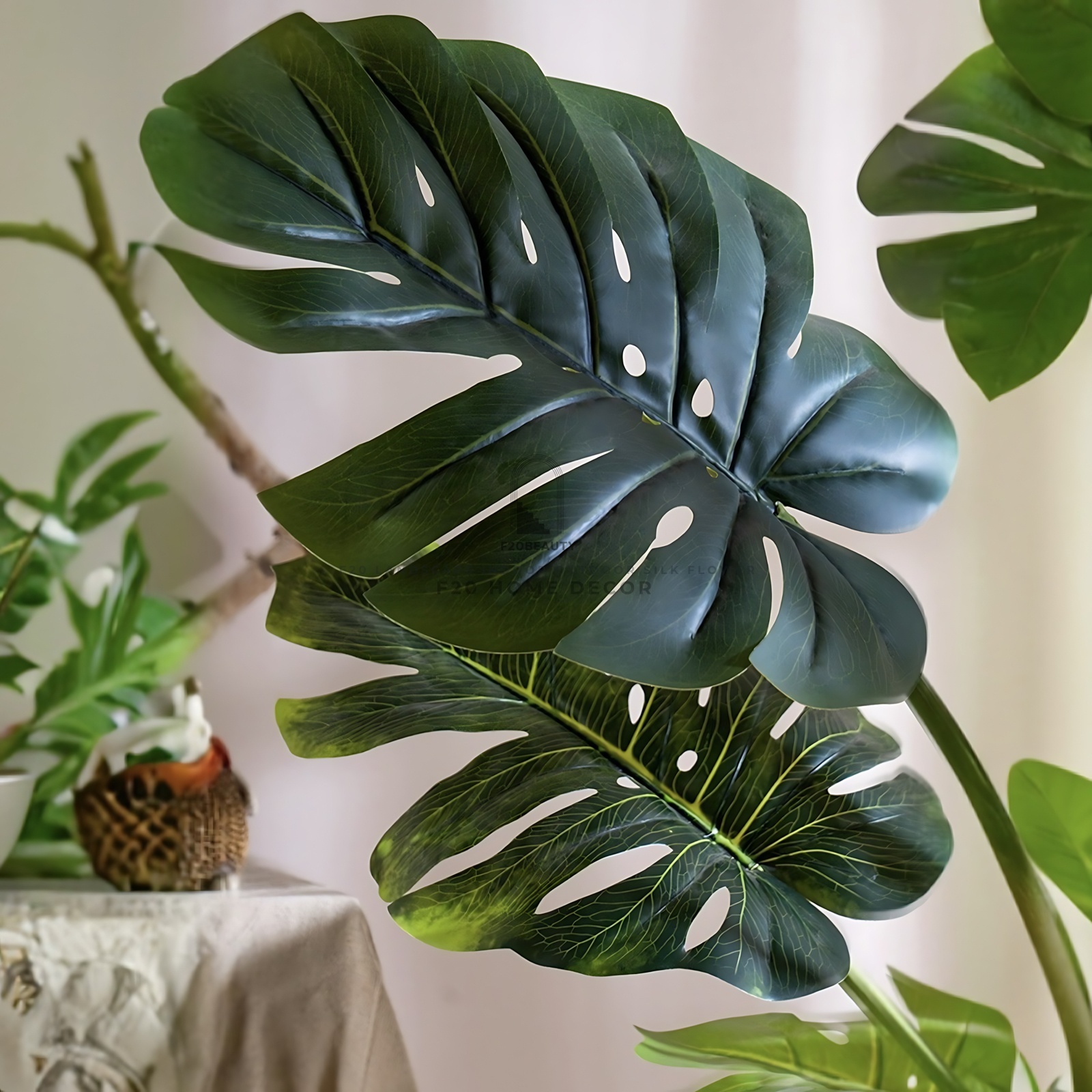 Gia đình khá giả chuộng trồng nhất 4 loài cây này: Cành khỏe, lá đẹp, dáng sang, nhìn là biết chủ nhân có gu- Ảnh 3.