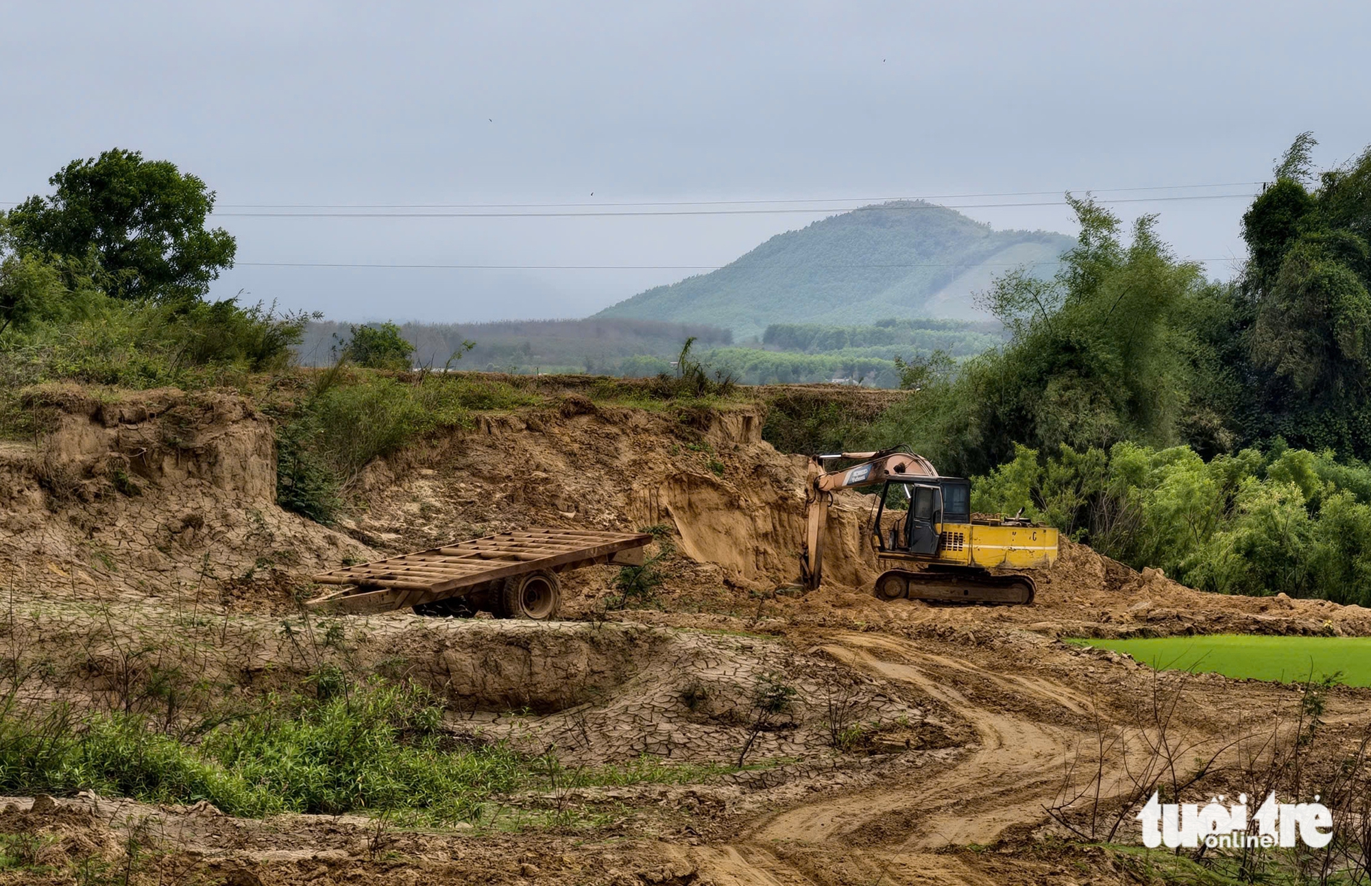 Lợi dụng 'cải tạo đất', múc đất nông nghiệp đem bán? - Ảnh 6.