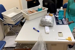 Chuyên án VN10: Ai nhận số ma túy được ngụy trang trong các tuýp kem đánh răng?