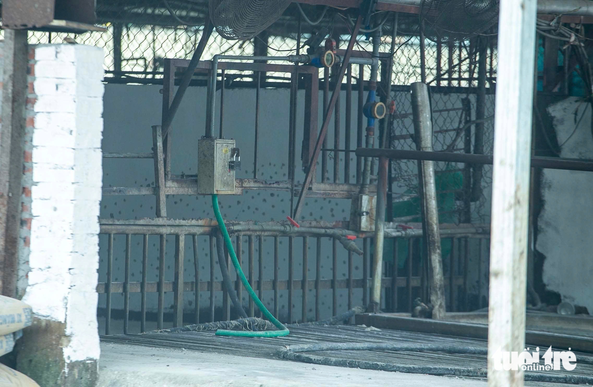 Cận cảnh lò mổ Vạn Phúc, nơi cho 'ra lò' 300 tấn thịt heo bệnh tuồn ra chợ, bếp ăn trường học - Ảnh 6.