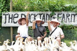 Video: Khách Tây, khách ta thích thú chăn vịt, cưỡi trâu, bắt cá, hòa mình vào làng quê yên bình ở Quảng Trị