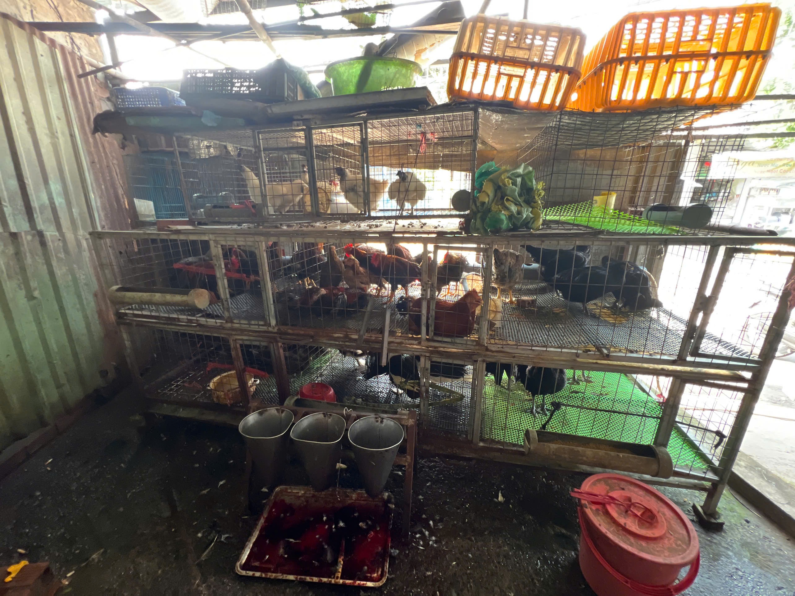 Lò giết mổ gia cầm 'chui', bốc mùi hôi thối trong khu dân cư TP.HCM- Ảnh 6.