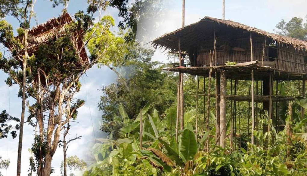 Sự thật về bộ tộc ăn thịt người cuối cùng còn sót lại trên Trái đất - 2